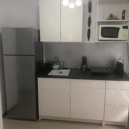 Apartment Studio Faleza Nord-banu Mihalcea