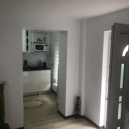 Studio Faleza Nord-banu Mihalcea